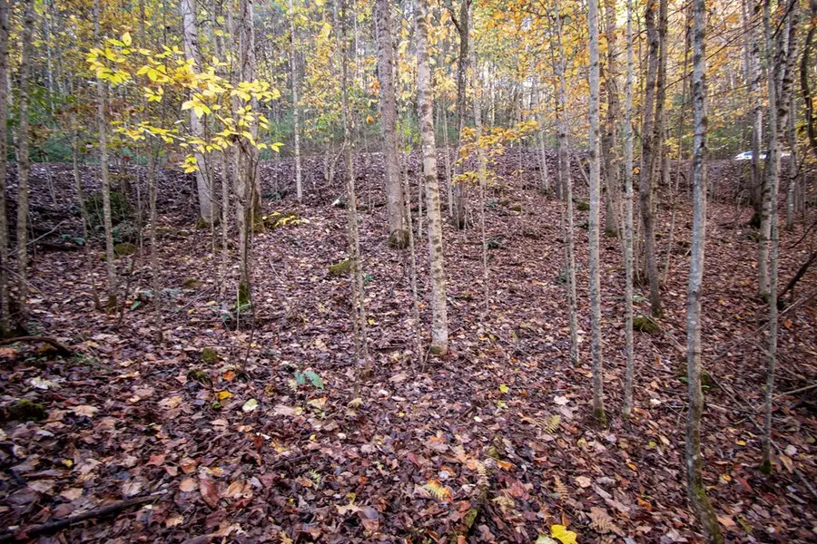 Lot 66 Choctaw Ridge Trail, Murphy, NC 28906 - #3