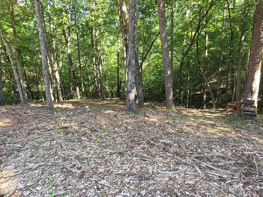 86 Cedar Road, Ellijay, GA 30540 - Image #3