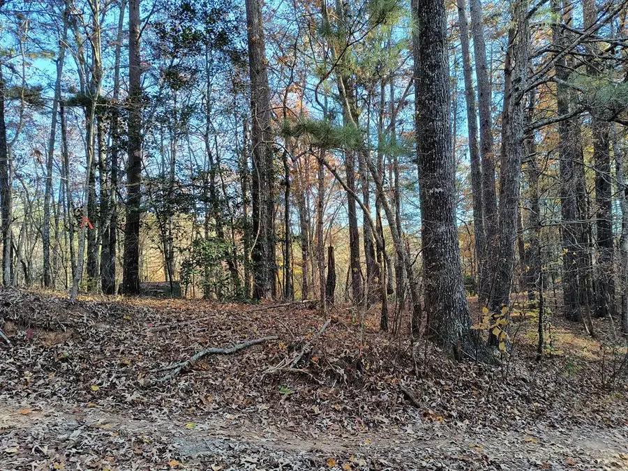 Lot 267 Novel Ct., Ellijay, GA 30540 - Image #2