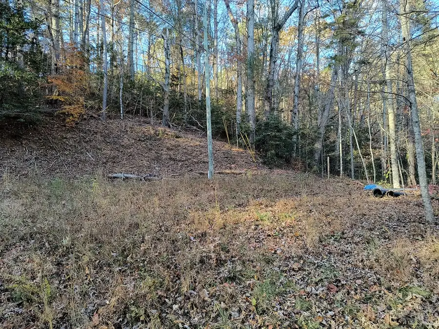 Lot 267 Novel Ct., Ellijay, GA 30540 - Image #3