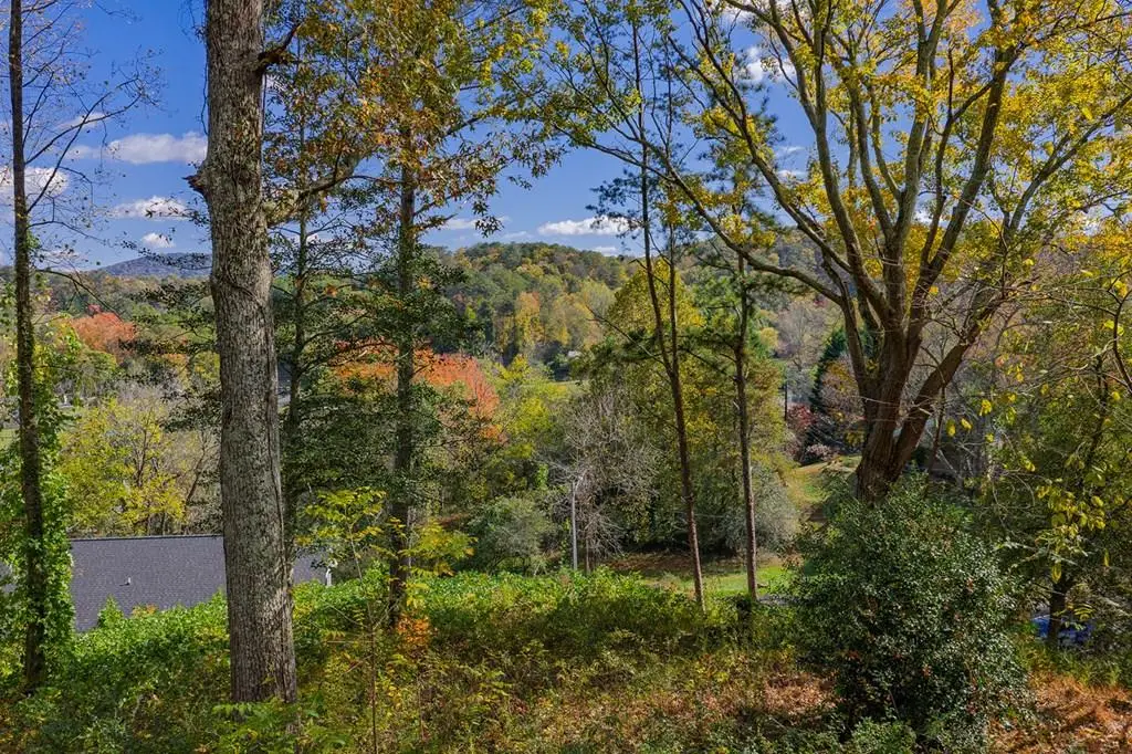 0 Hill Street, East Ellijay, GA 30540 - Image #1