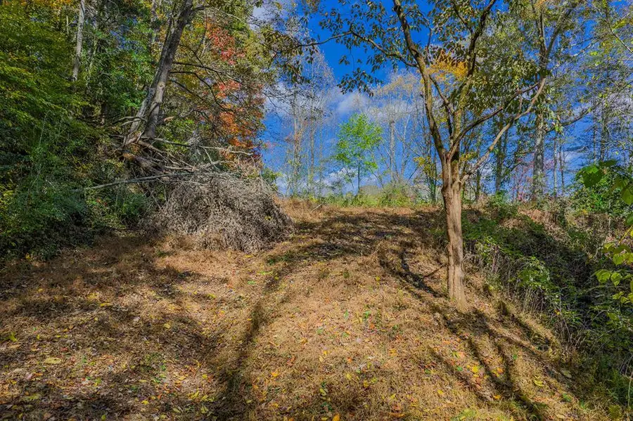 0 Hill Street, East Ellijay, GA 30540 - Image #2