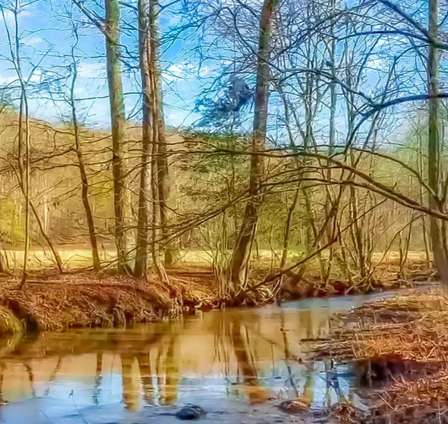 14551 E Hwy 52, Ellijay, GA 30536 - Image #2