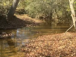 0 Julius Bridge Road, Ball Ground, GA 30107 - Image #2