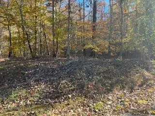 0 Julius Bridge Road, Ball Ground, GA 30107