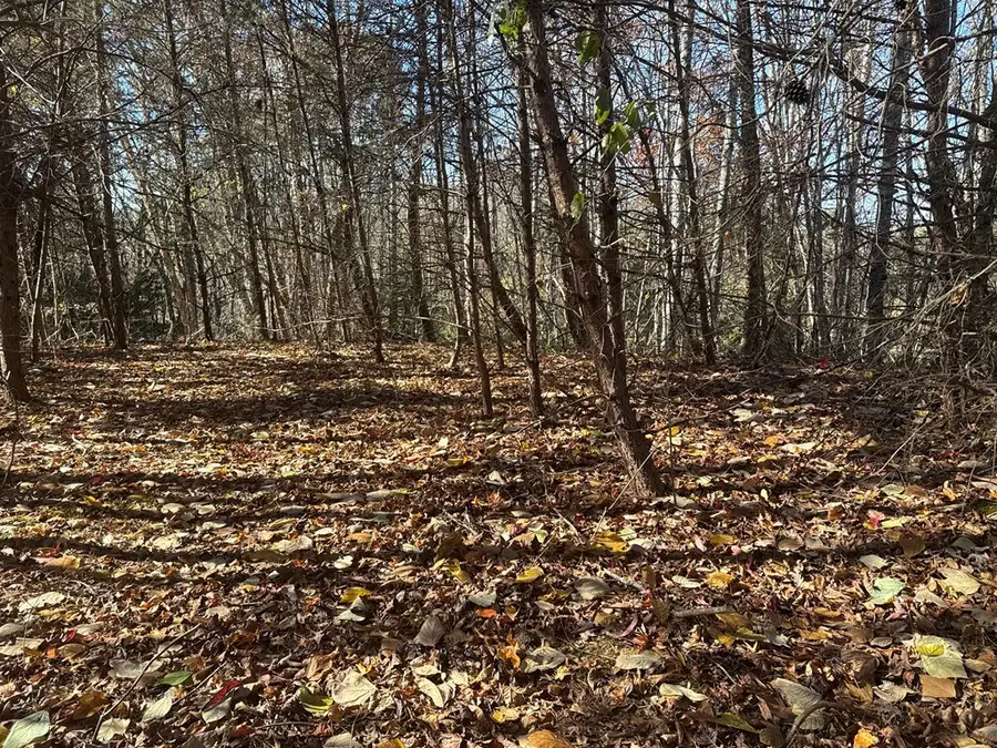 0 Mcguire Street, Murphy, NC 28906 - Image #3