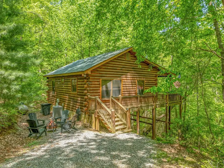 7 Ascherman Court, Blue Ridge, GA 30513 - #2