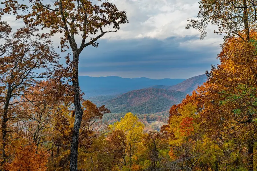 333 Walnut Rdg, Ellijay, GA 30536 - Image #2