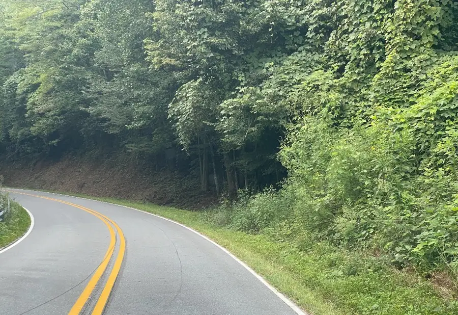 1330 Cold Branch Road, Hayesville, NC 28904 - Image #3