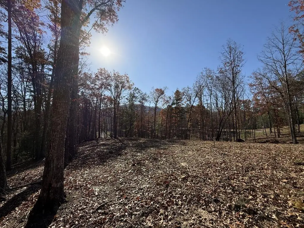 Lot 24 Crestview Point, Mineral Bluff, GA 30559 - Image #1