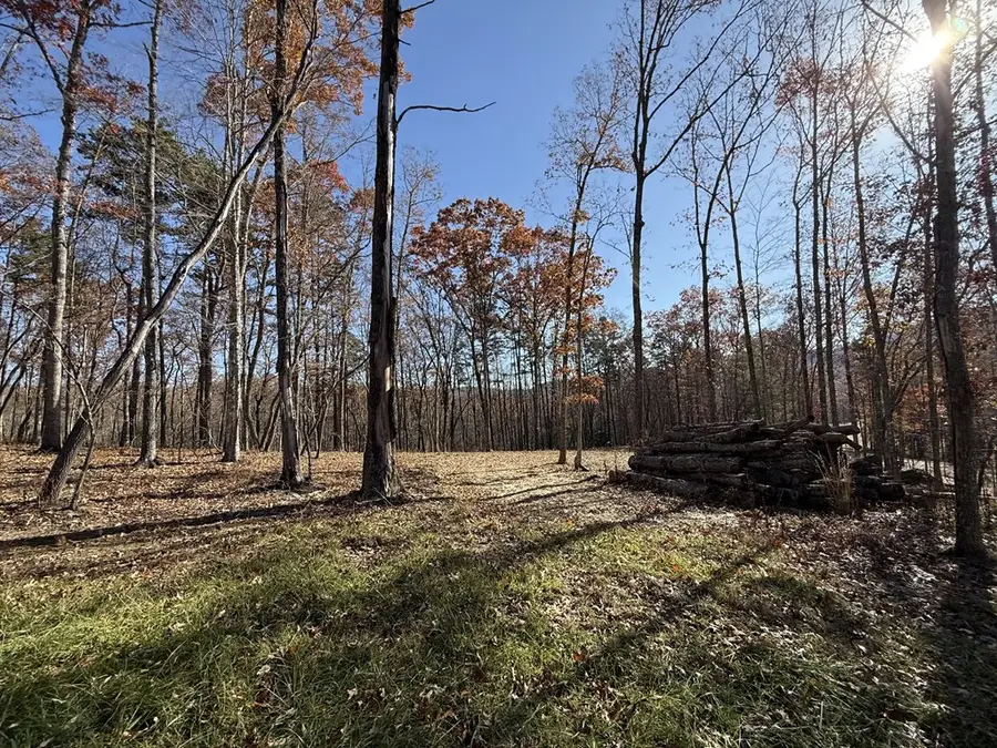 Lot 24 Crestview Point, Mineral Bluff, GA 30559 - Image #2