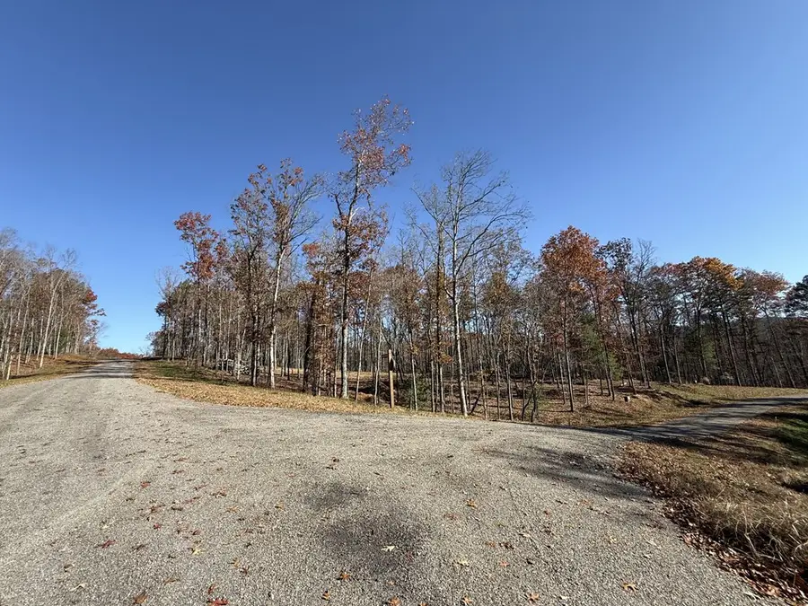 Lot 24 Crestview Point, Mineral Bluff, GA 30559 - Image #3