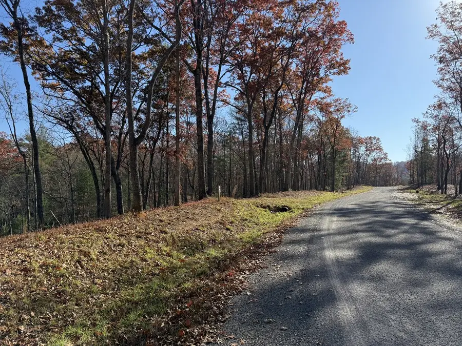 Lot 75 Morgan Road, Mineral Bluff, GA 30559 - Image #2