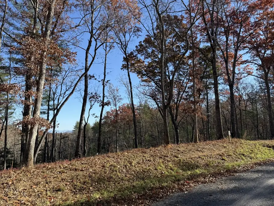 Lot 75 Morgan Road, Mineral Bluff, GA 30559 - Image #3