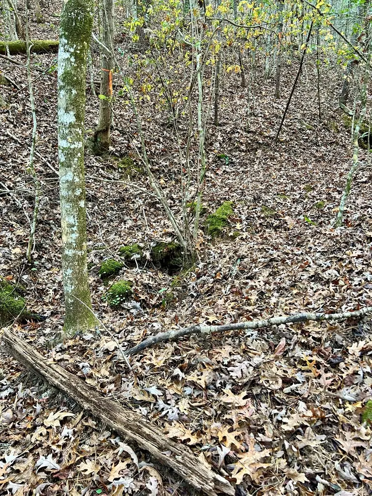 00 Sierra Circle, Murphy, NC 28906 - Image #2