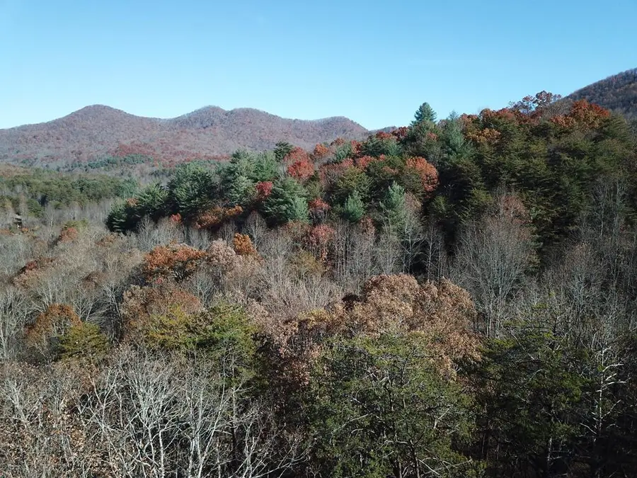 Lot 10 Firefly Ridge Road, Blairsville, GA 30512 - Image #2