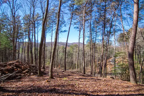 2A Big Creek, Blue Ridge, GA 30513