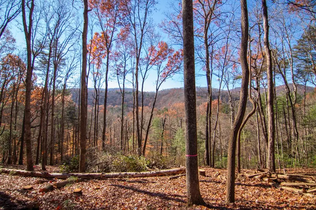 5 Big Creek, Blue Ridge, GA 30513 - Image #1