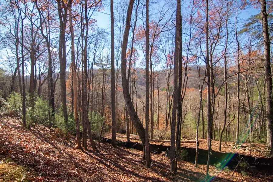 5 Big Creek, Blue Ridge, GA 30513 - Image #3