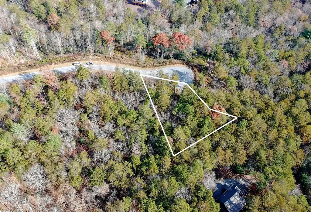 Lot 37 Ridgeline Lane, Mineral Bluff, GA 30559 - #1