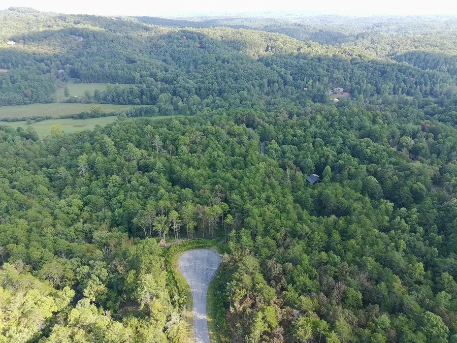 Lot 37 Ridgeline Lane, Mineral Bluff, GA 30559 - #3
