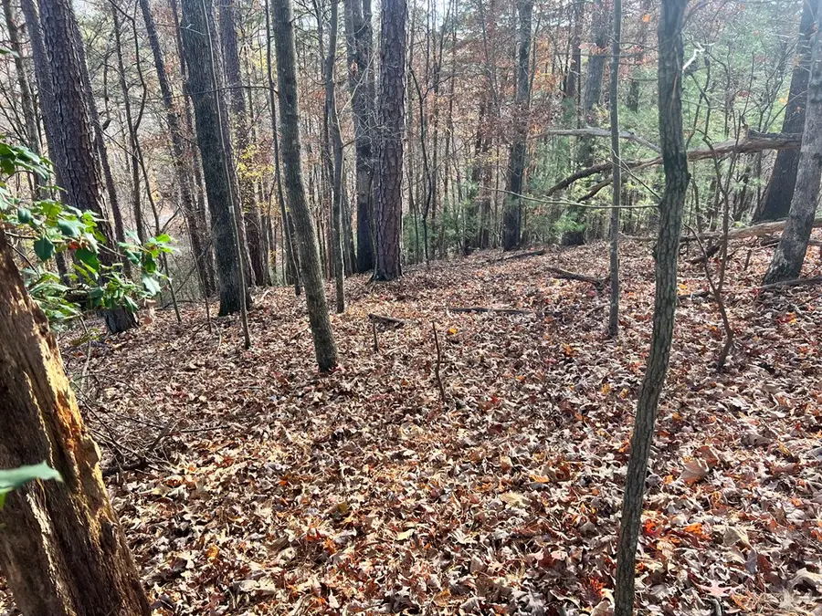 71 Dryad Court, Ellijay, GA 30540 - Image #3