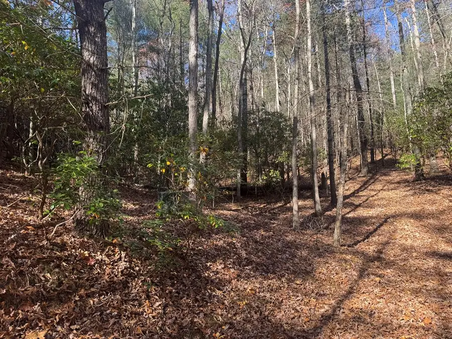 1982 Pinelog Church Road, Brasstown, NC 28902 - Image #2