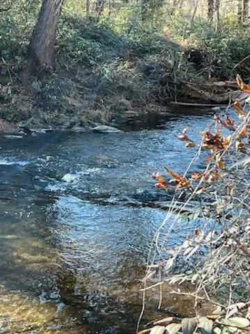 1918 Creekstone Lane, Young Harris, GA 30582 - Image #1