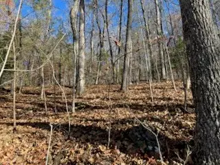 1918 Creekstone Lane, Young Harris, GA 30582 - Image #2