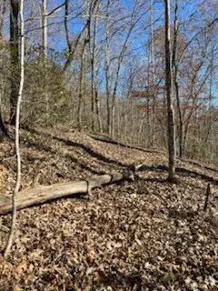 1918 Creekstone Lane, Young Harris, GA 30582 - Image #3