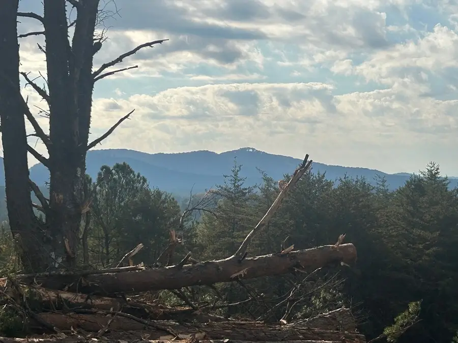 0 Singo Drive, Turtletown, TN 37391 - Image #3