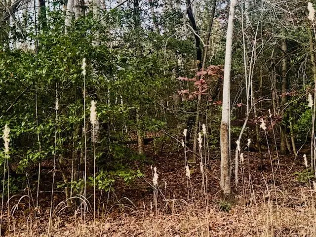 LT 9 Timberline Road, Murphy, NC 28906 - Image #2