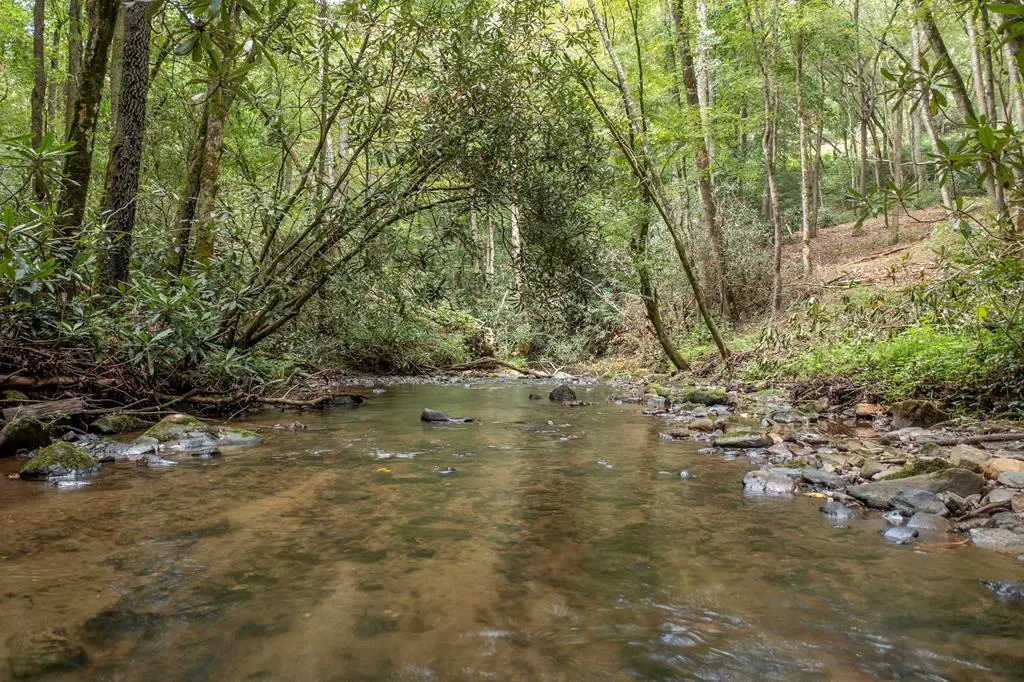 1034 Chestnut Flats Road, Andrews, NC 28901 - Image #1