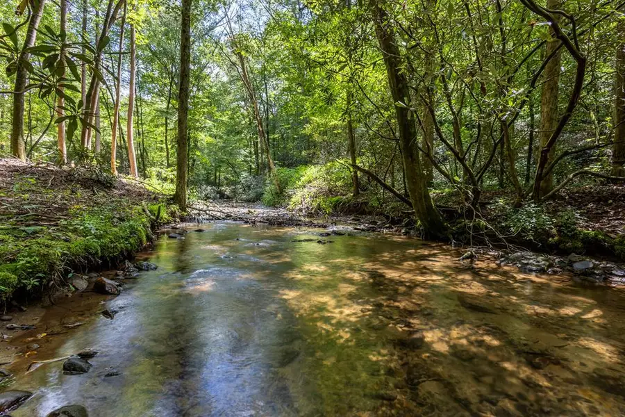 1034 Chestnut Flats Road, Andrews, NC 28901 - Image #2