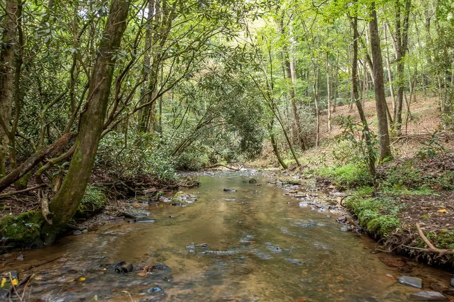 1034 Chestnut Flats Road, Andrews, NC 28901 - Image #3