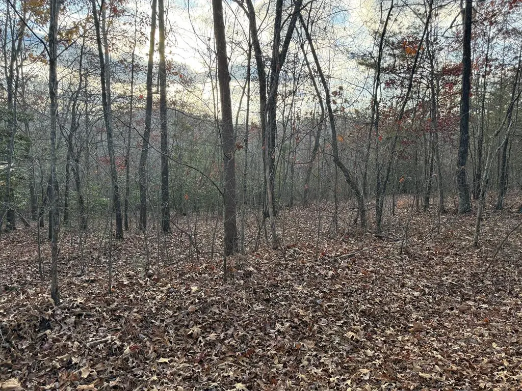 28/32 Stuart Ridge Road, Mineral Bluff, GA 30559 - Image #1