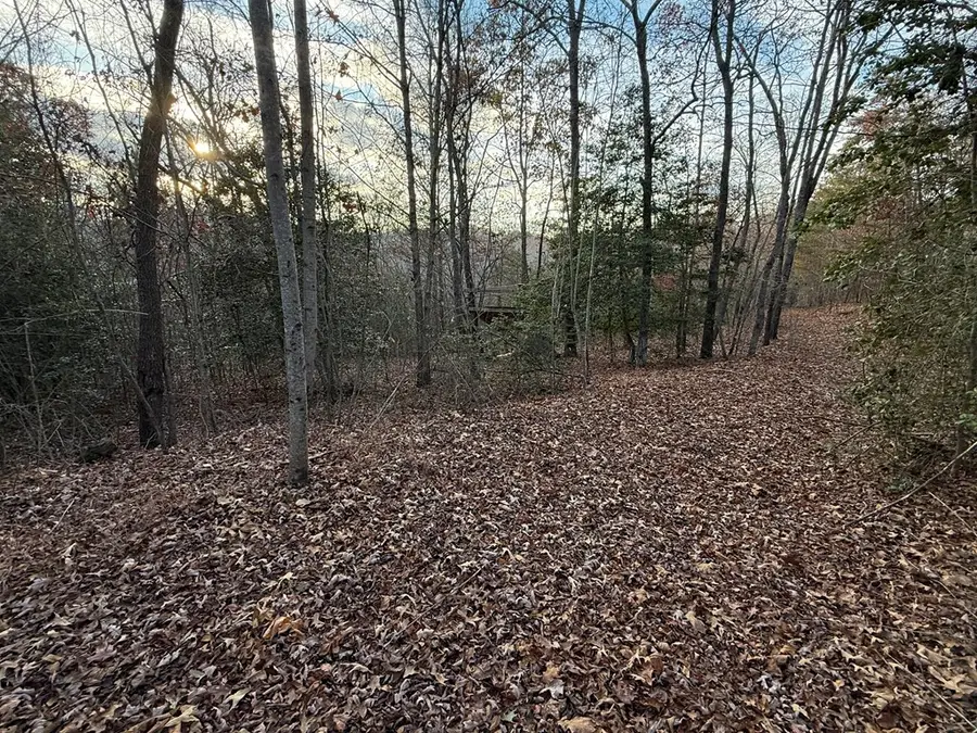 28/32 Stuart Ridge Road, Mineral Bluff, GA 30559 - Image #3