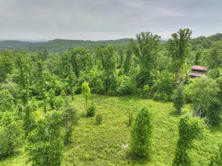 LOT 13 Hidden Acres, Blue Ridge, GA 30513 - Image #2