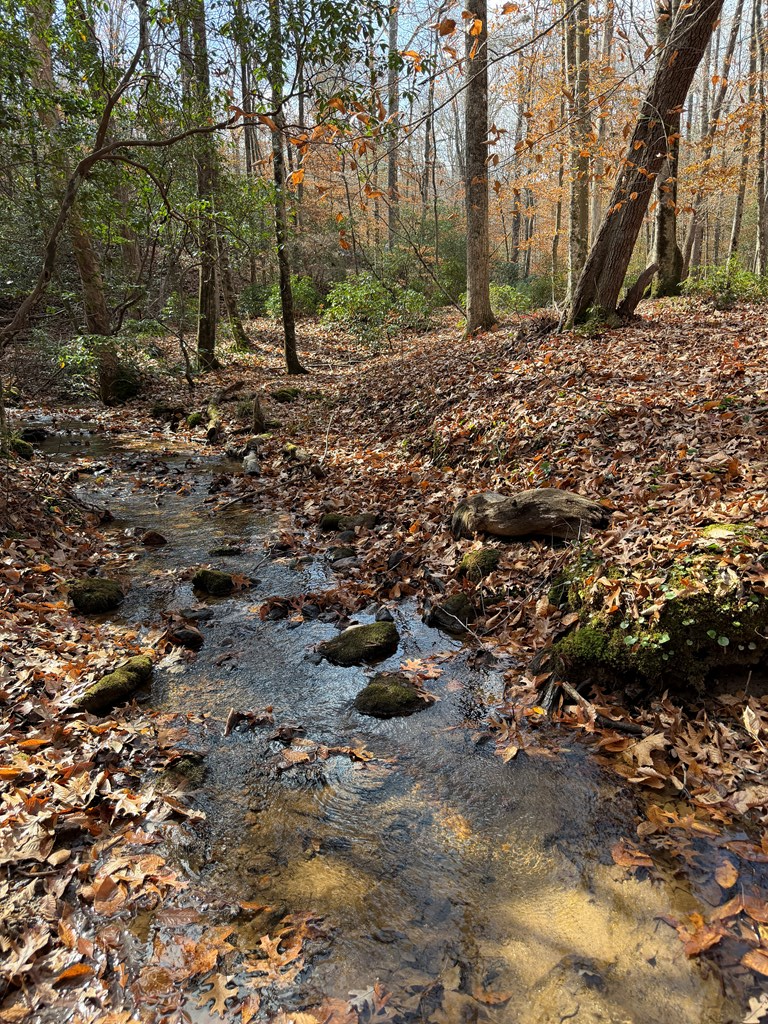 Lot A Magnums Trail, Blue Ridge, GA 30513 - Image #2