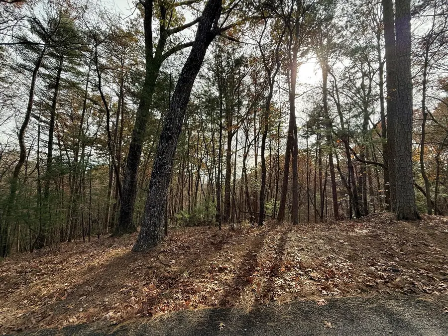 12 North Ridge Drive, Ellijay, GA 30540 - Image #3