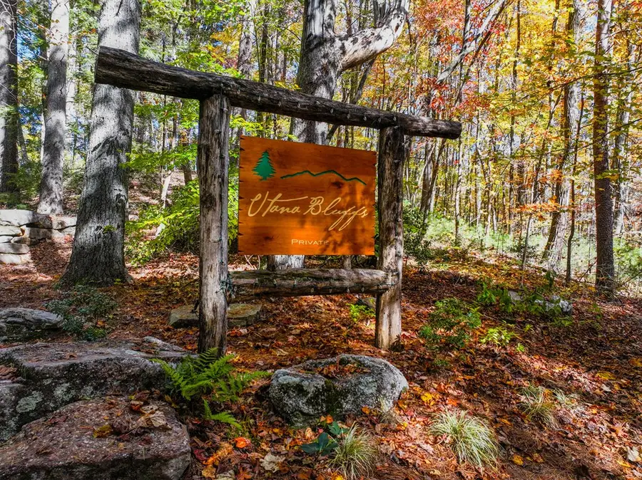 Lot 46 Utana Bluffs Trail, Ellijay, GA 30540 - Image #3