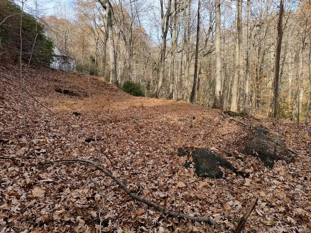 Lot 10 Cherokee Circle, Ellijay, GA 30536 - Image #1