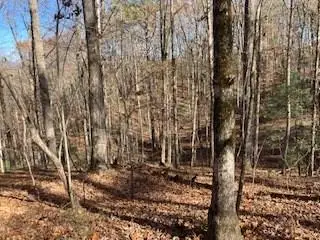 Lot 260 Catawba Circle, Ellijay, GA 30540 - Image #1