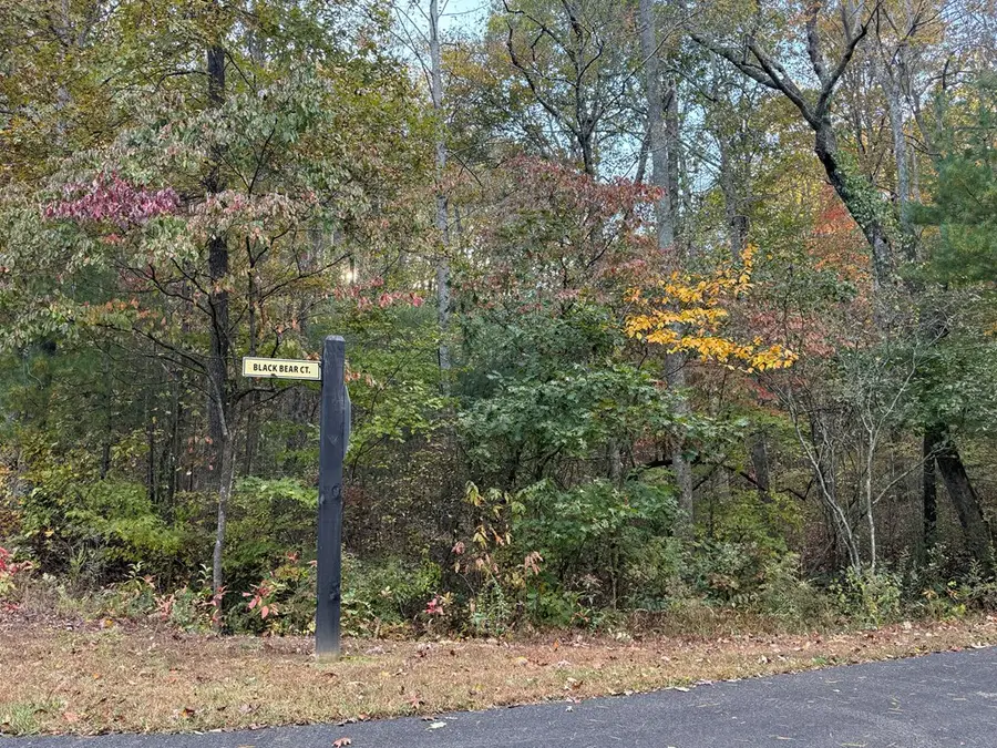 0 Lot 7 Black Bear Court, Ellijay, GA 30536 - Image #3