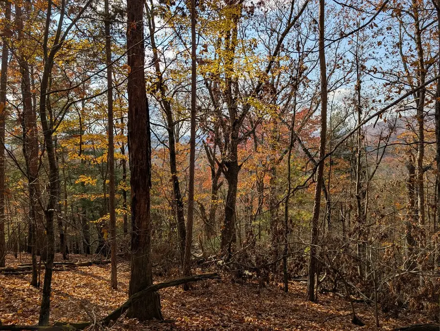 902 Mountain Top Drive, Notla, NC 20906 - Image #2