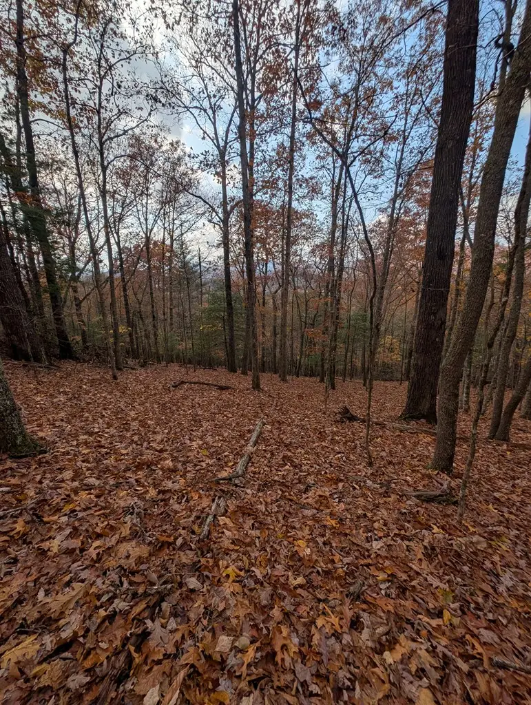 902 Mountain Top Drive, Notla, NC 20906 - Image #3