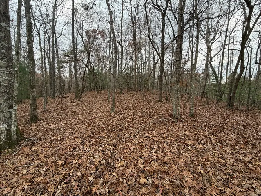 454R Joliet, Ellijay, GA 30540 - Image #2