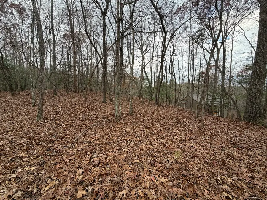 454R Joliet, Ellijay, GA 30540 - Image #3