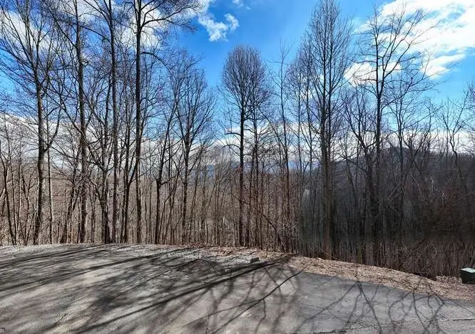 Lot 37 Overlook At Y.h., Young Harris, GA 30582 - Image #2