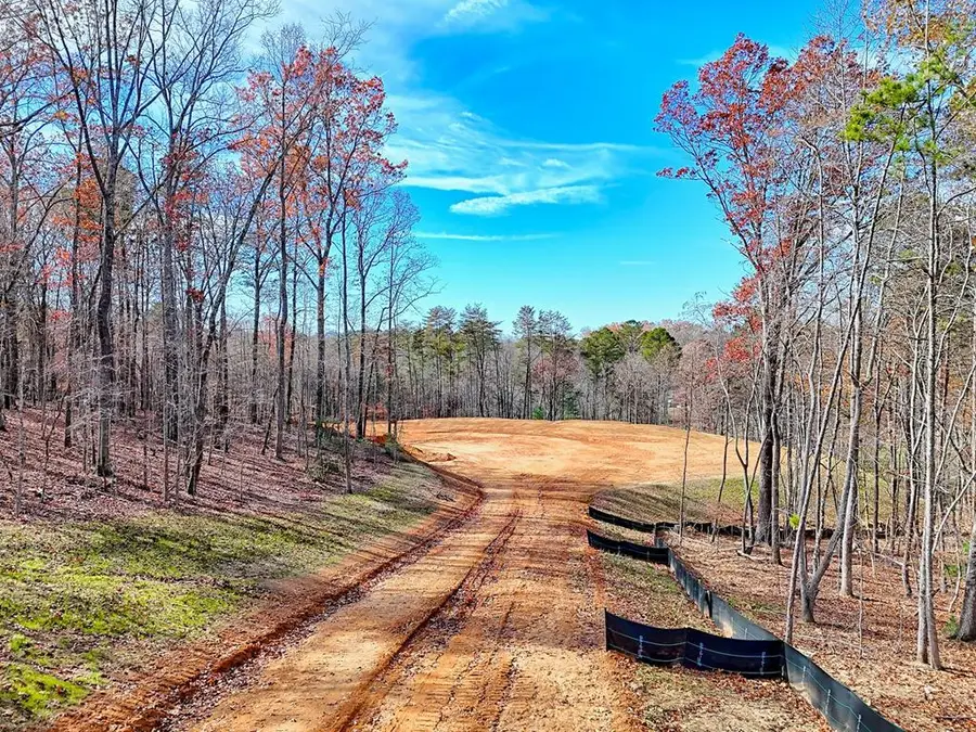 223 Watkins Road, Blairsville, GA 30512 - Image #2